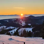 Apartment Bel 3 Pieces Dans La Vosges-alsace *