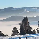 Apartment Bel 3 Pieces Dans La Vosges-alsace Orbey