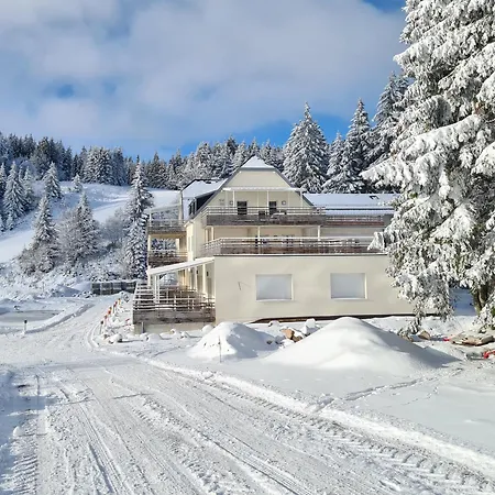 Bel 3 Pièces Dans La Résidence Vosges-alsace * Orbey