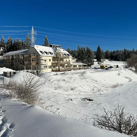 Appartement Bel 3 Pieces Dans La Vosges-alsace *