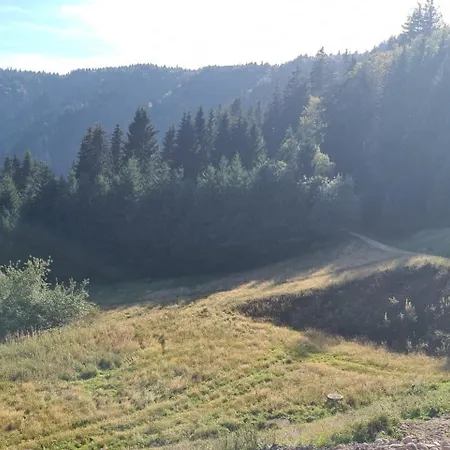 Bel 3 Pieces Dans La Vosges-alsace Apartament *