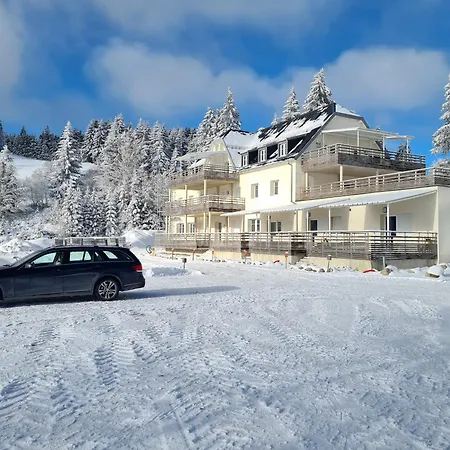 Appartement Bel 3 Pièces Dans La Résidence Vosges-alsace Orbey