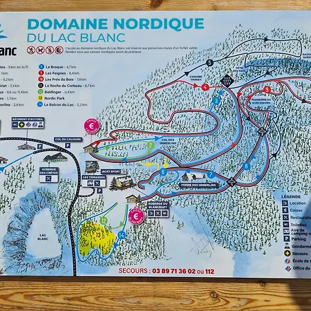 Bel 3 Pieces Dans La Vosges-alsace Apartament Orbey