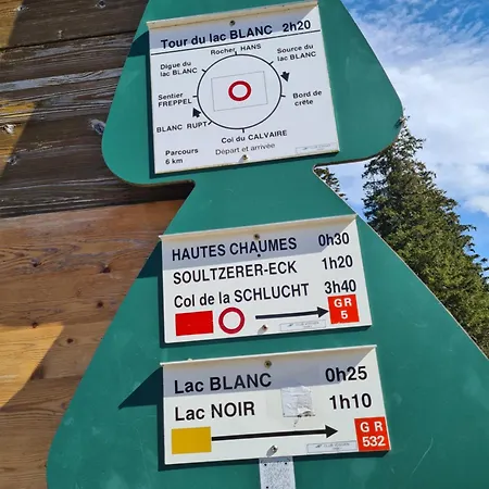 Apartament Bel 3 Pieces Dans La Vosges-alsace Orbey