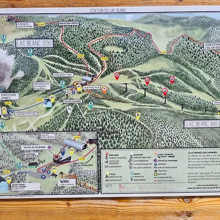 Апартаменты Bel 3 Pieces Dans La Vosges-alsace *