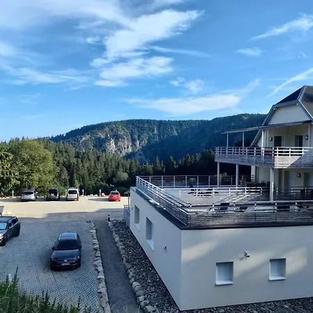 Bel 3 Pieces Dans La Vosges-alsace * Orbey