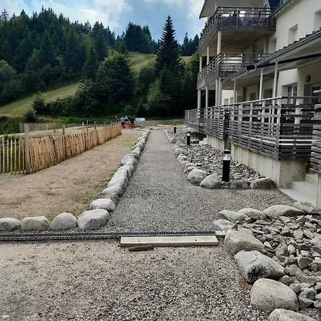 Bel 3 Pieces Dans La Vosges-alsace Appartement