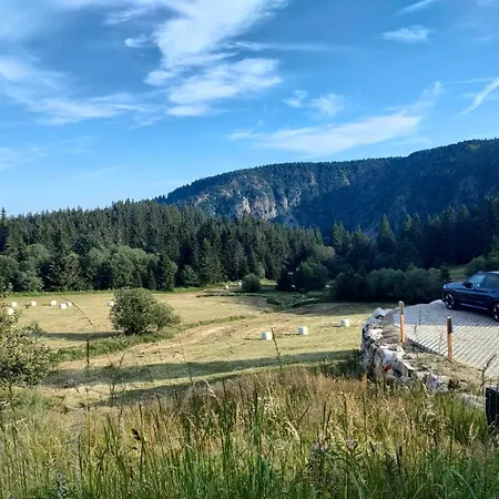 Апартаменты Bel 3 Pieces Dans La Vosges-alsace Орбе