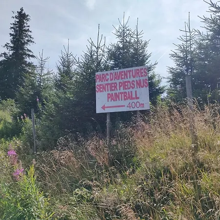 Bel 3 Pieces Dans La Vosges-alsace Apartament