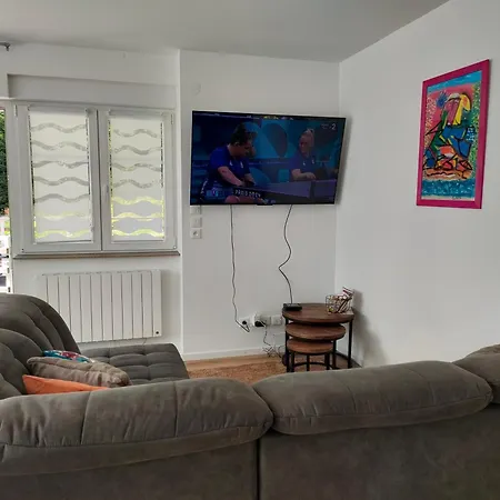 Bel 3 Pieces Dans La Vosges-alsace Apartament