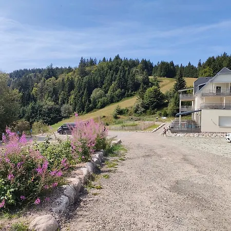 Апартаменты Bel 3 Pieces Dans La Vosges-alsace