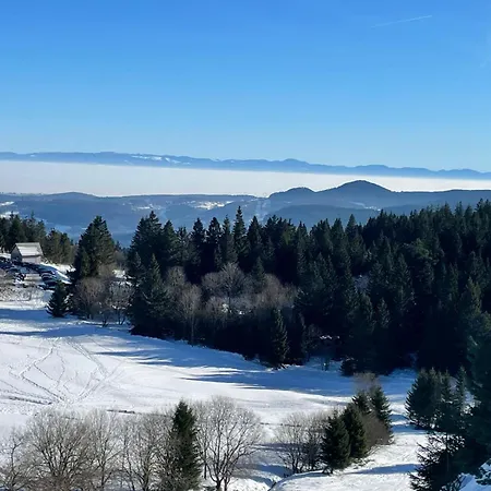 Bel 3 Pieces Dans La Vosges-alsace Apartament *