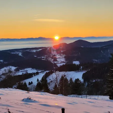 Апартаменты Bel 3 Pieces Dans La Vosges-alsace *