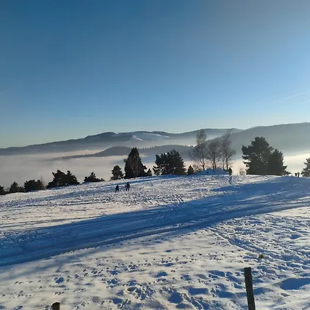 Bel 3 Pieces Dans La Vosges-alsace Апартаменты Орбе