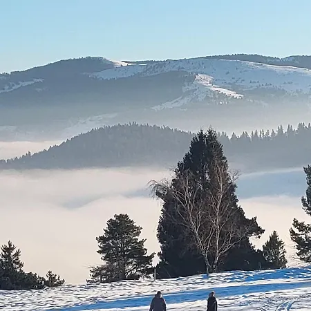 Appartement Bel 3 Pièces Dans La Résidence Vosges-alsace Orbey