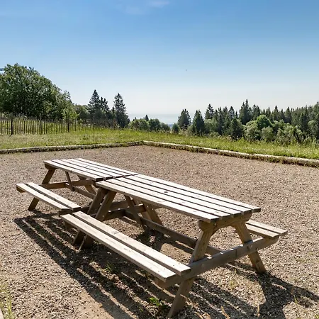 Bel 3 Pieces Dans La Vosges-alsace Орбе