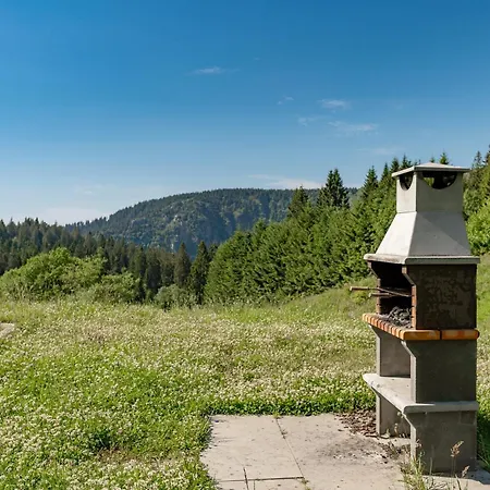 Bel 3 Pieces Dans La Vosges-alsace